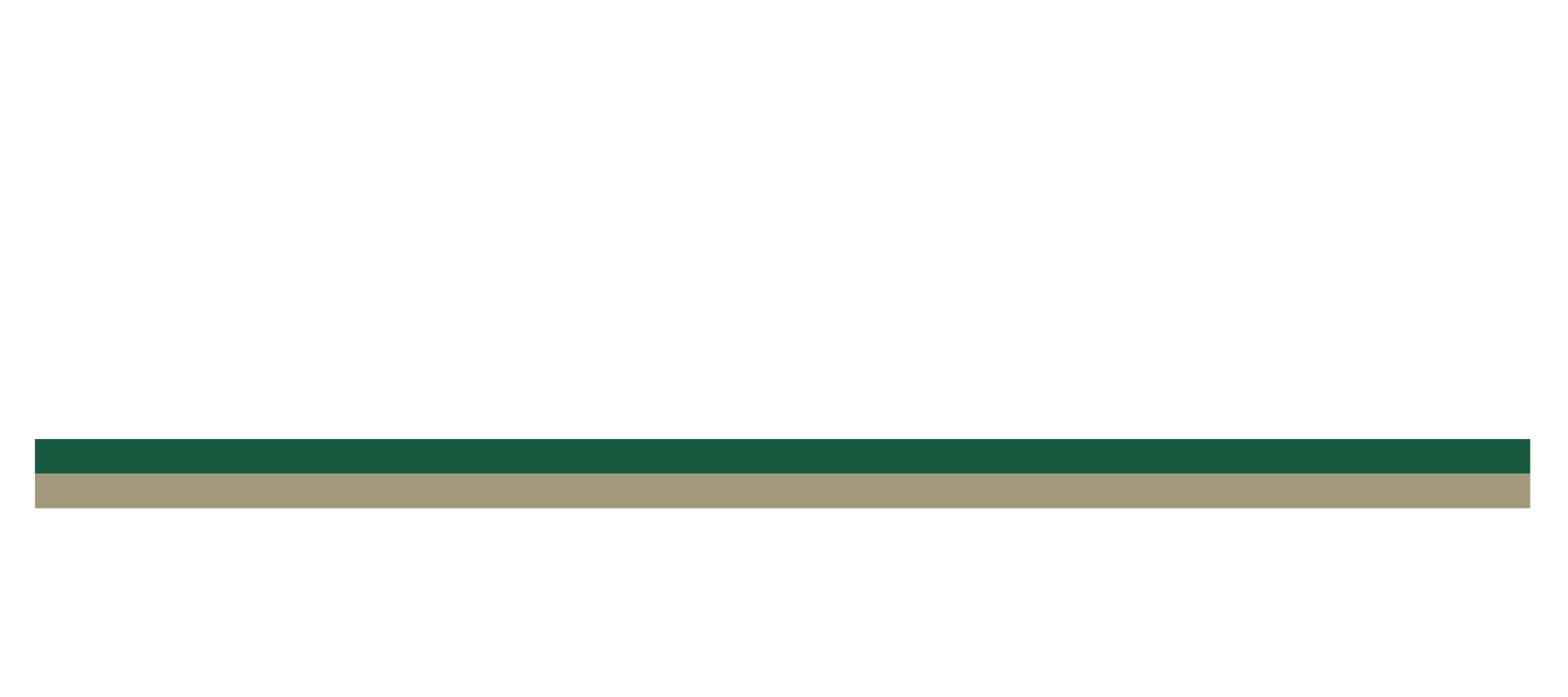 Il logo della Pezzoli Green